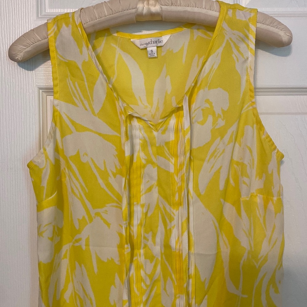 Charming Charlie’s summer top